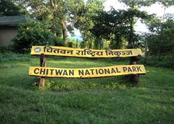 Number of tourists visiting Chitwan National Park on rise