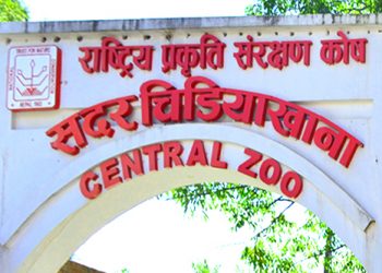 Central zoo to get a face lift