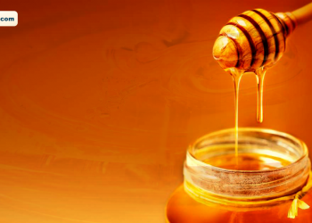 Rukum Paschim produces honey worth Rs 25 million