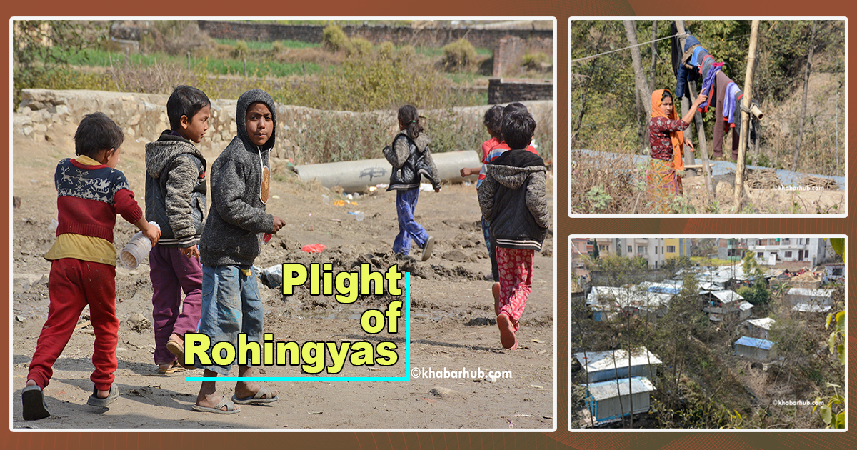 Rohingyas want to go back home with dignity