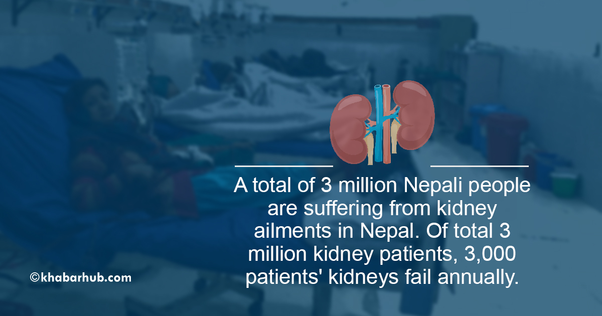 3,000 diagnosed with kidney failure in Nepal annually