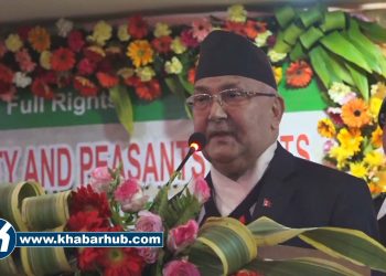 All political pretensions have ended: PM Oli