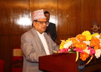 Speaker Mahara seeks effective role of NIC