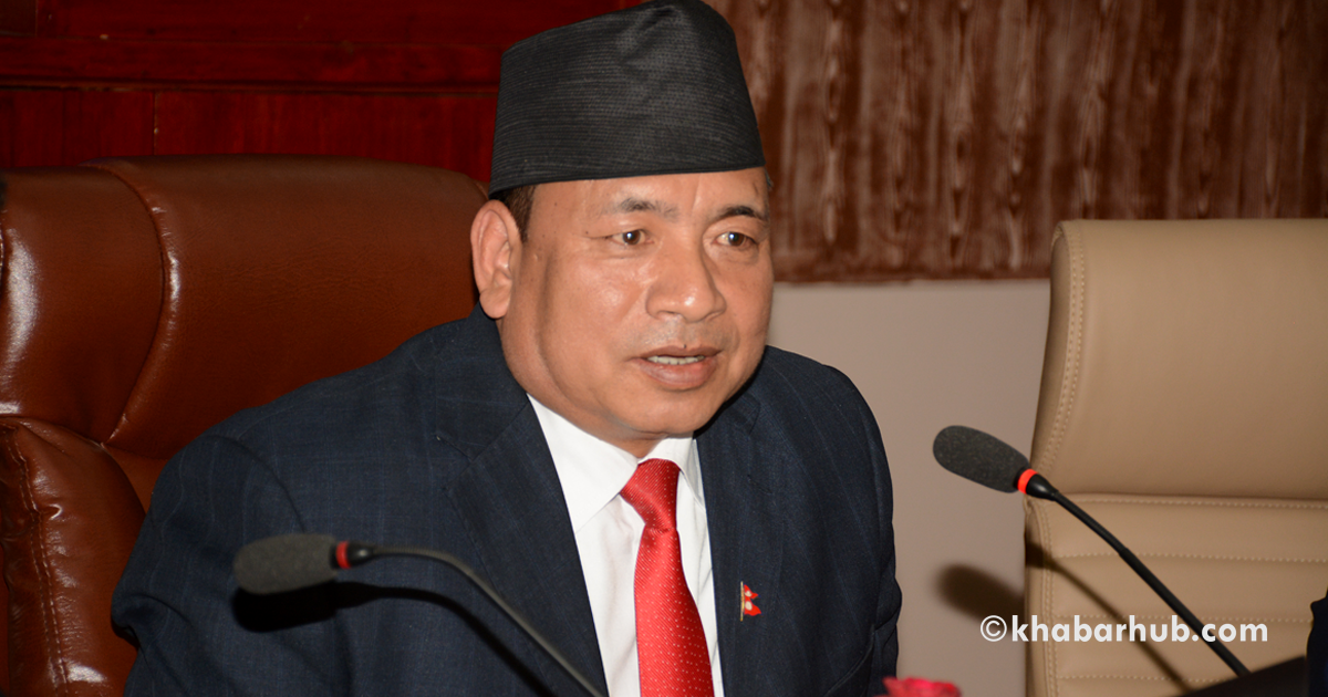 Vice President Pun emphasizes full implementation of Constitution