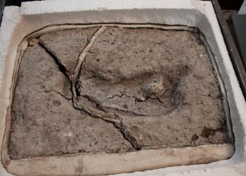 Oldest human footprint in Chile confirmed