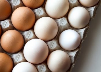 9 reasons why we should eat eggs daily