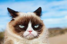 Internet sensation Grumpy Cat dies
