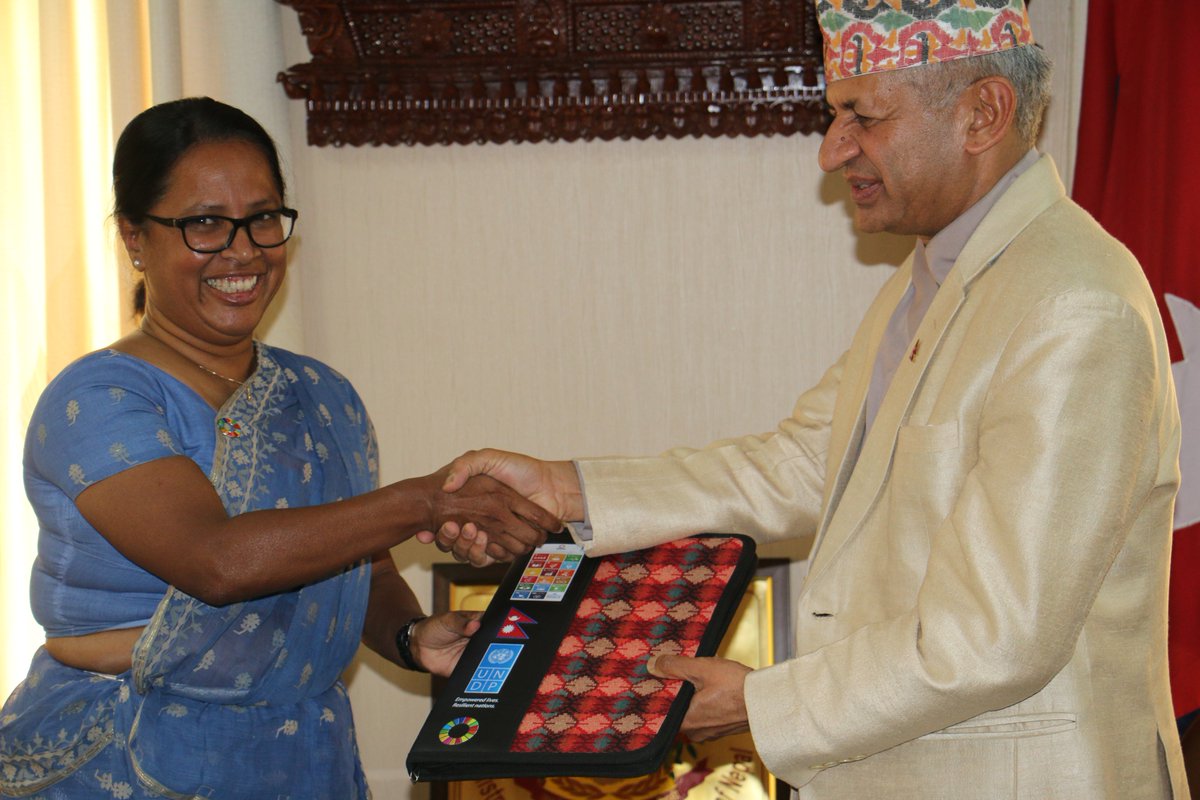 UNDP’s new Resident Representative presents letter of credence