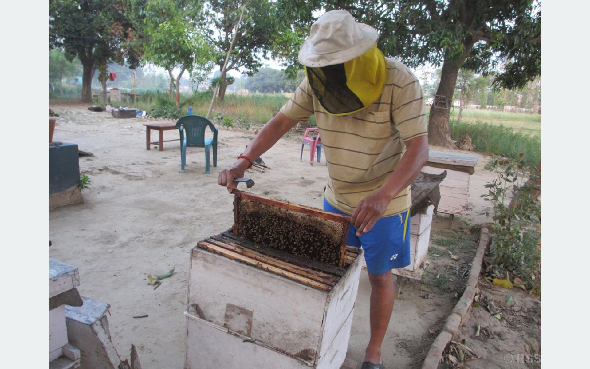 Local govt distributes beehives to Tanahun farmers