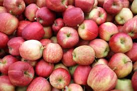 Jumla exports 21,000 metric tons of apples