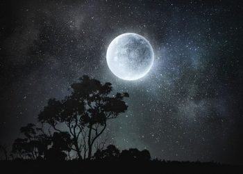 Explainer: What is Full Moon?