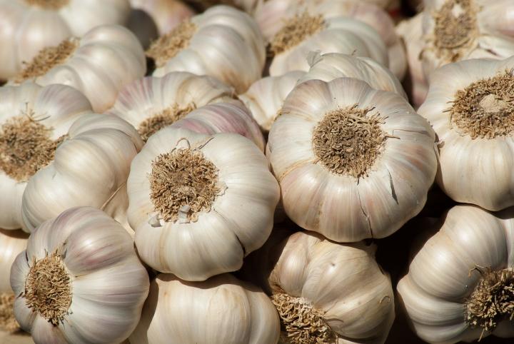 Chunwang’s garlic finds better market this time