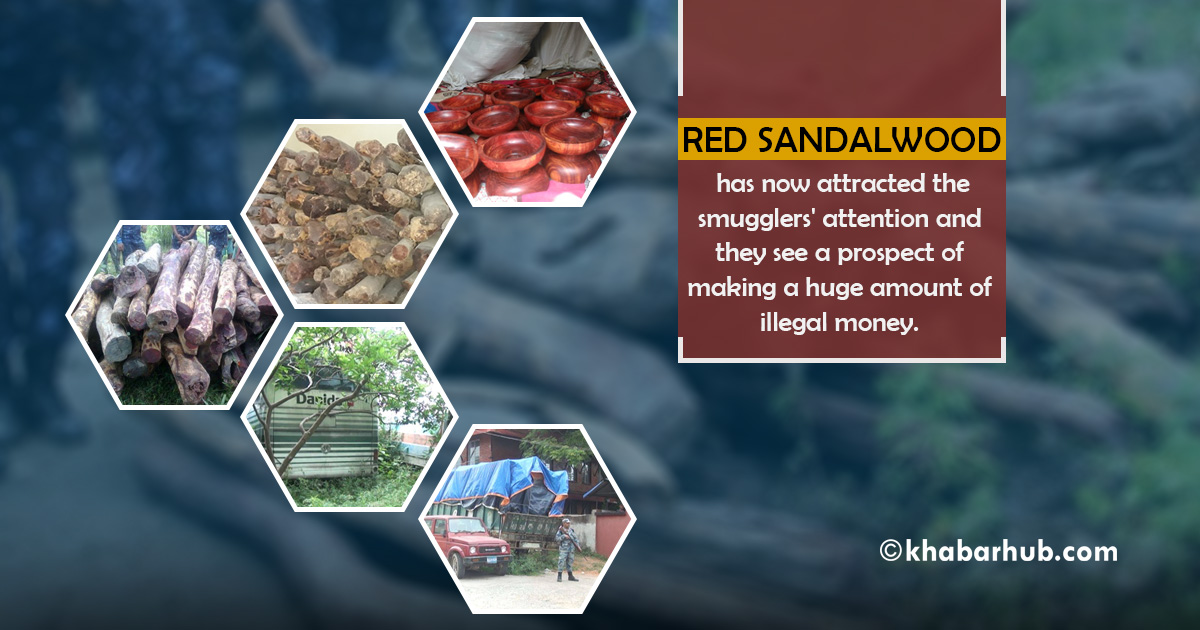 Red Sandalwood smuggling: Millions spent on security and safety but of no use