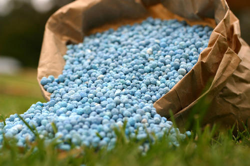 Urea fertilizer imported on subsidy allegedly misused