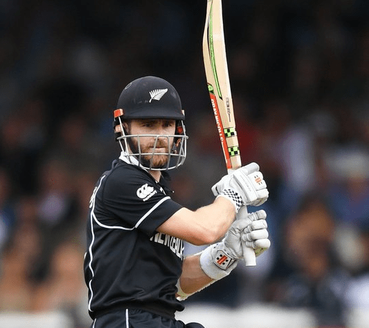 ICC Cricket WC 2019: Captain Williamson bags Player of the Tournament