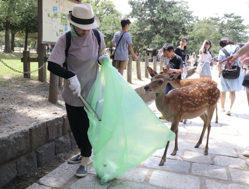 9 deer die after eating plastic bags in Japan