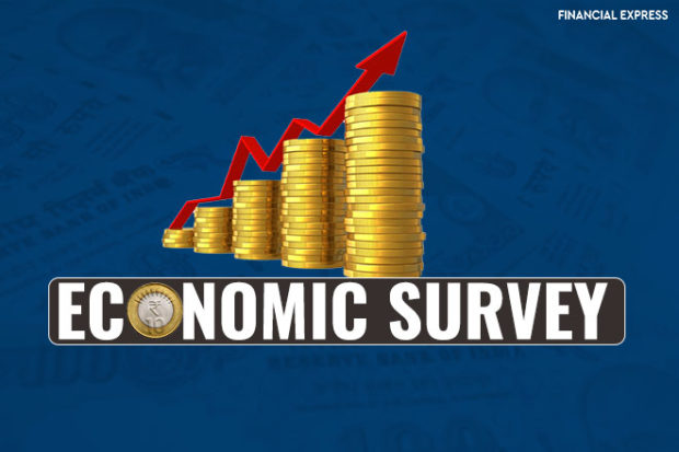 India is looking big in world economy in next 5-10 years: Economic Survey 2018-2019