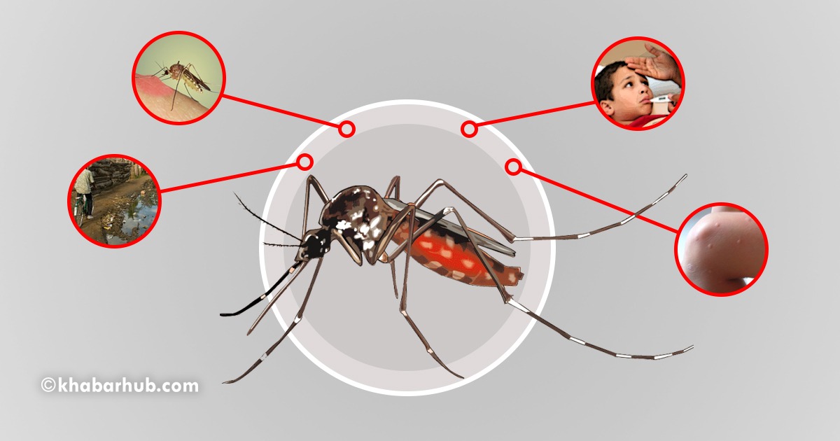 Jhapa sees nine dengue cases in ten days