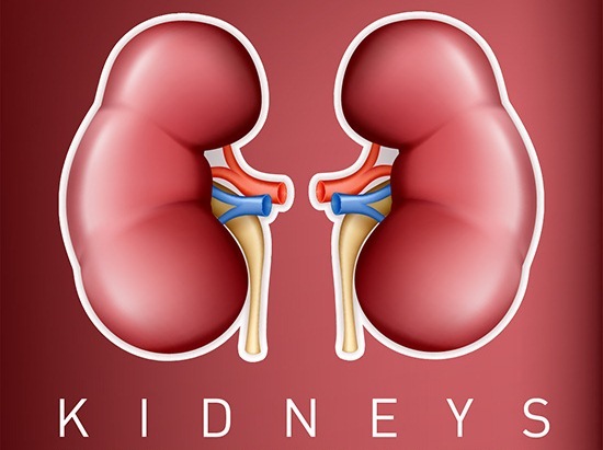 7 foods to avoid for healthy kidneys