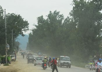 Some 2,057 trees to be felled for Kathmandu Ring Road expansion