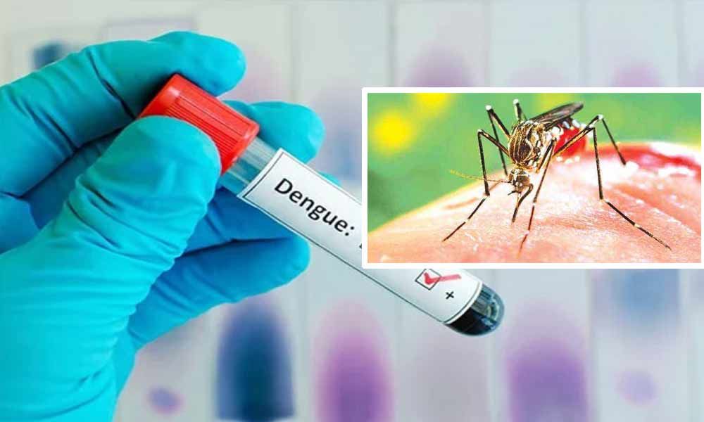 47 dead, over 200,000 infected with dengue in Sri Lanka