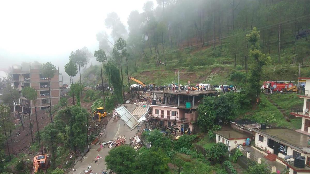 Two Nepalis killed after being crushed by a tree in India