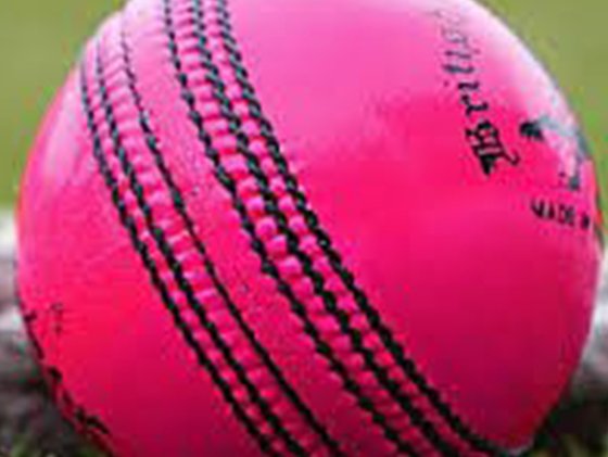 Cricket club introduces vegan ball