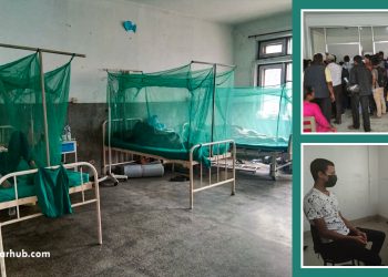 Dengue cases fall in Kathmandu; danger of infection still looms large