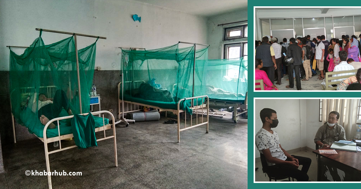 Kanchanpur sees high risk of dengue; shortage of testing kit