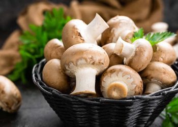 Mushroom farming turns rewarding to Nawalparasi farmers