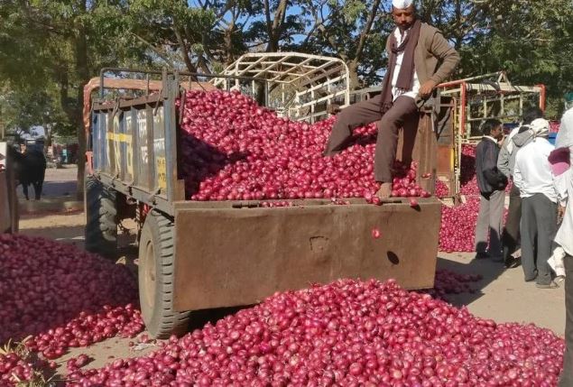 How onions turned a poor farmer into a millionaire?