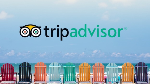 TripAdvisor fails to stop fake reviews: study