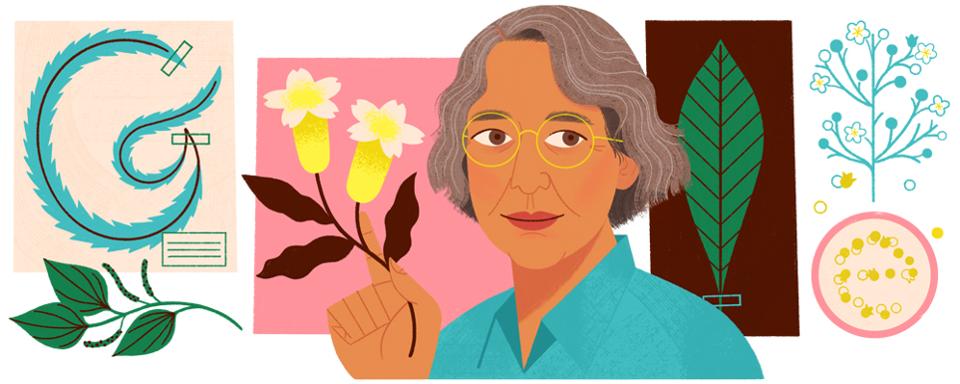 Google Doodle honors botanist Ynés Mexía