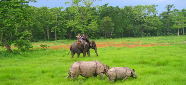Tourism activities open in Chitwan National Park