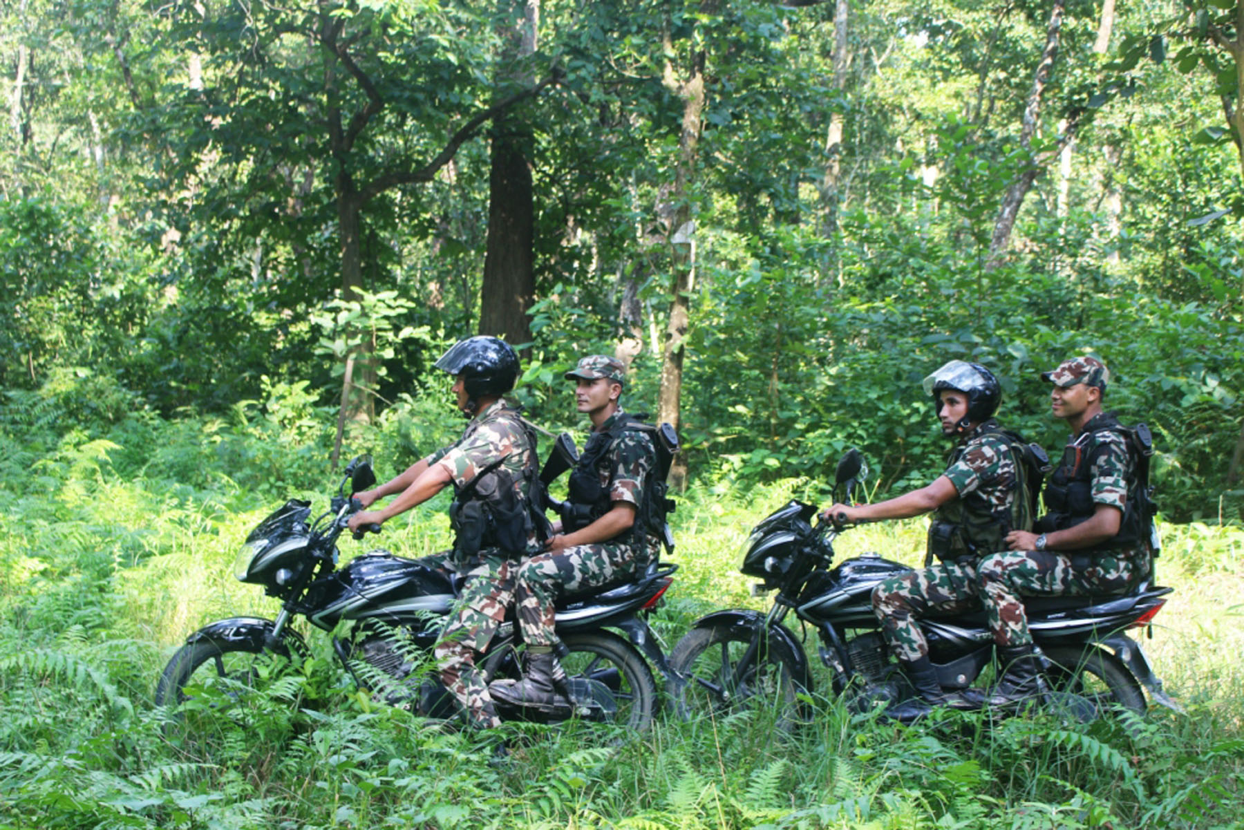Security stepped up in Chitwan National Park