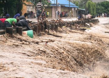 Death toll from heavy rains in Tanzania rises to 29