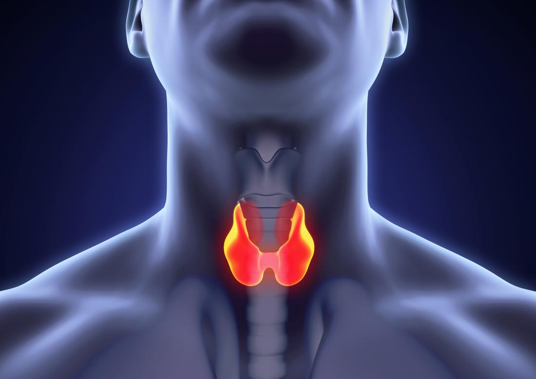 Artificial Intelligence to predict Thyroid cancer risk in Ultrasound