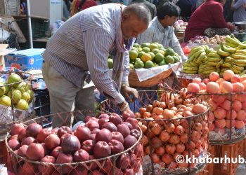 Apples worth Rs 2 bln consumed during Dashain-Tihar festival