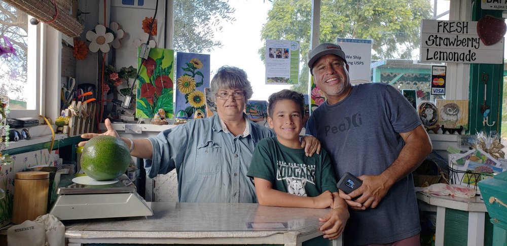 Hawaii family holds record for world’s heaviest avocado