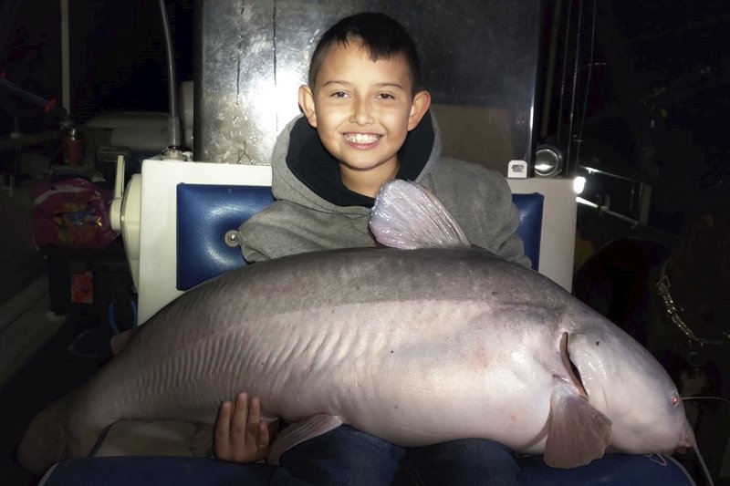 9-year-old boy catches massive blue catfish