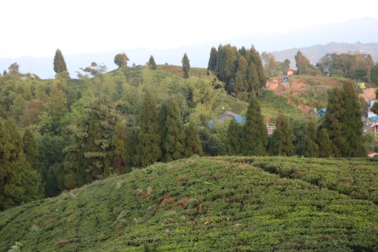 Kuse Danda becomes new spot to visit in Ilam