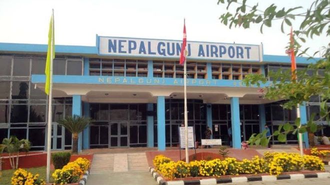 Wild boars’ menace at Nepalgunj Airport