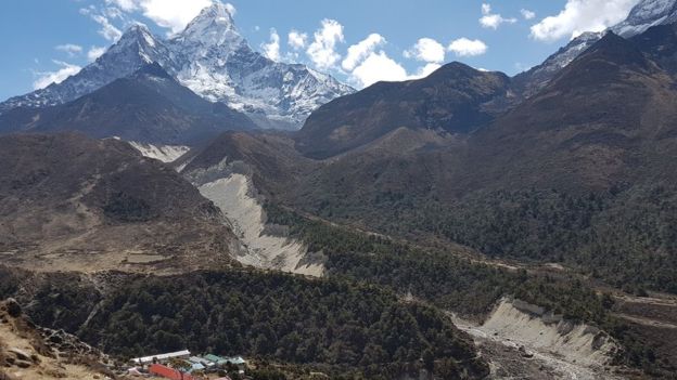 Plant life expanding over Himalayas including Everest region