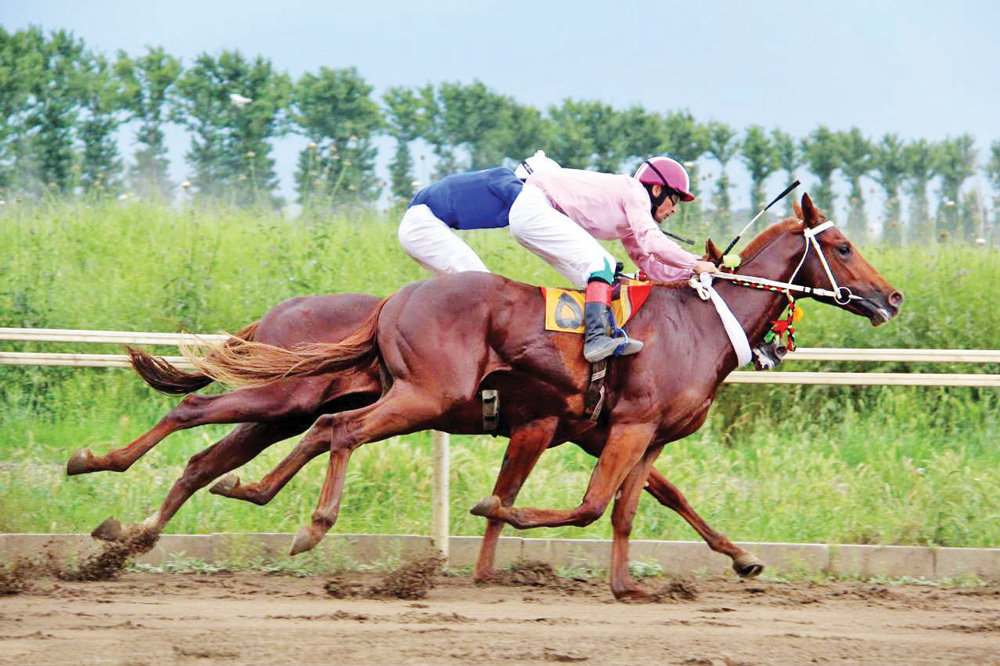 National Horse Riding Contest concludes