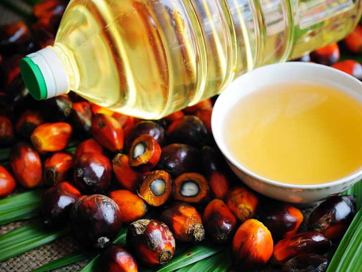 Palm oil worth Rs 41.6 billion exported from Nepal