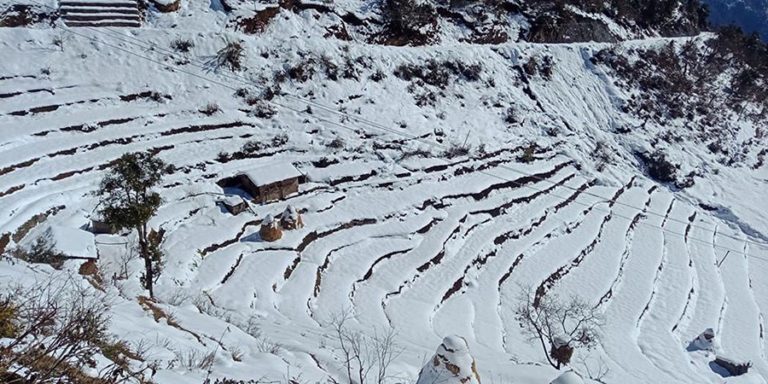 Taplejung experiences snowfall, farmers happy over ‘favor’ from nature