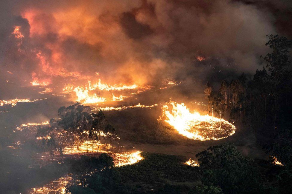 Australian bushfires hit businesses, damage still being assessed