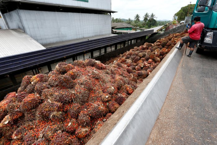 Nepal seeks early lifting of ban on export of refined palm oil