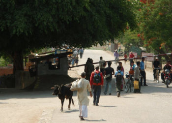 Over 10 thousand people enter Nepal via Gaddachauki in a week for Dashain