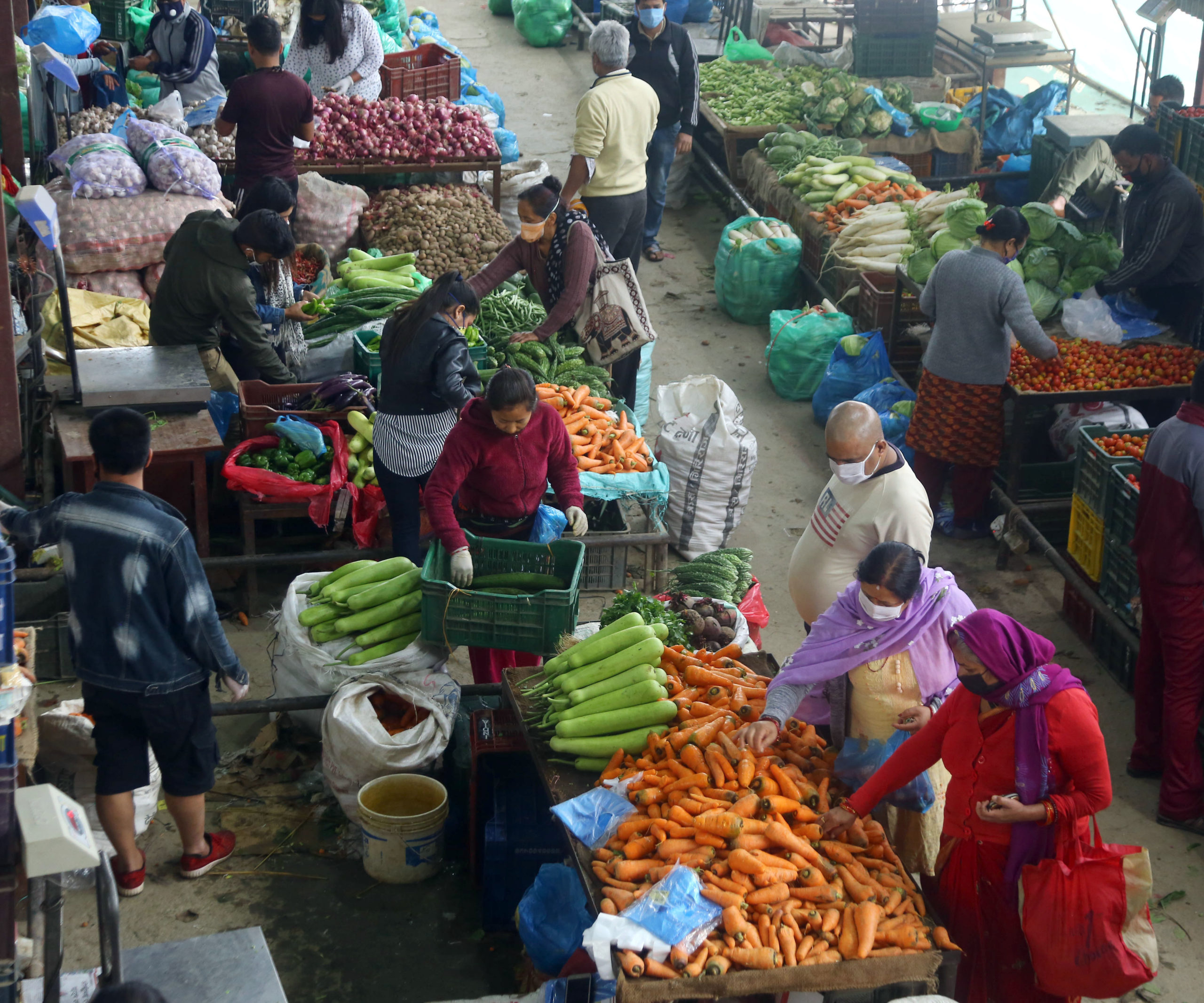 Vegetable depot resumes in Chitwan